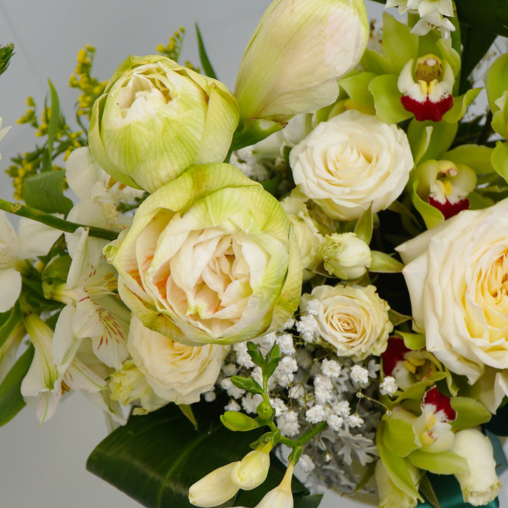 aranjament floral cu orhidee verde, amaryllis verde, alstroemeria si anthurium 