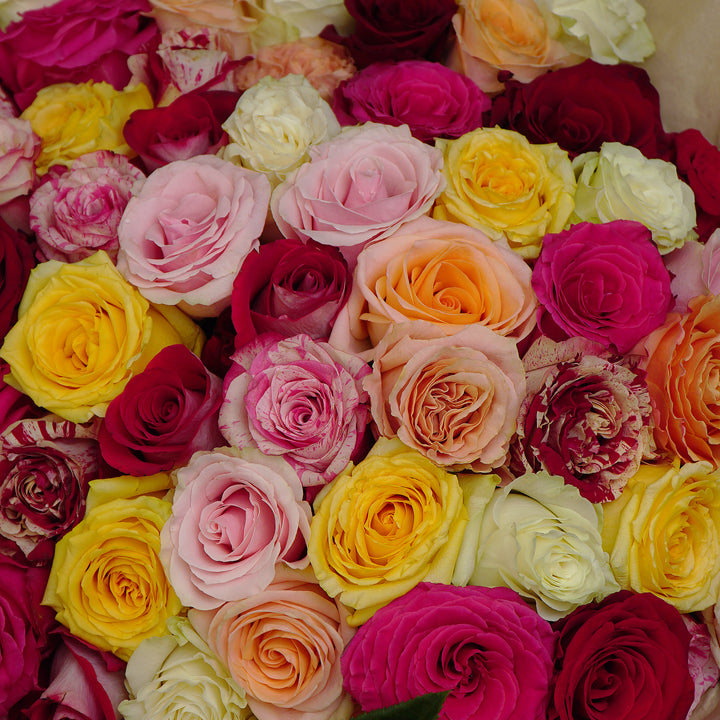 Buchet multicolor cu trandafiri 