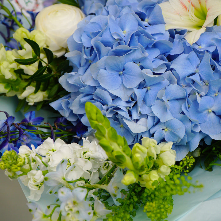 trandafirii, delphinium si hortensia albastra
